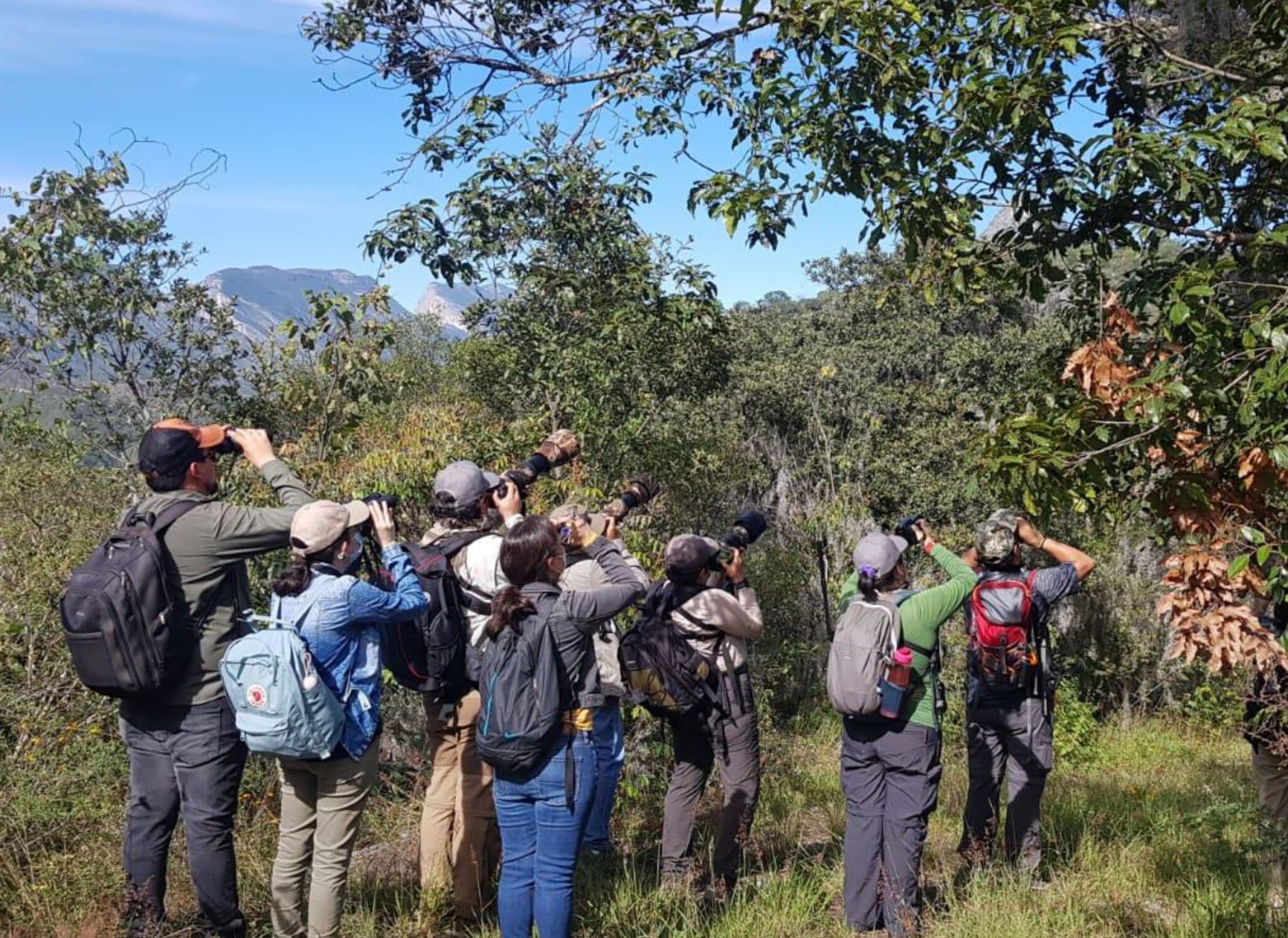 Birding en Monterrey
