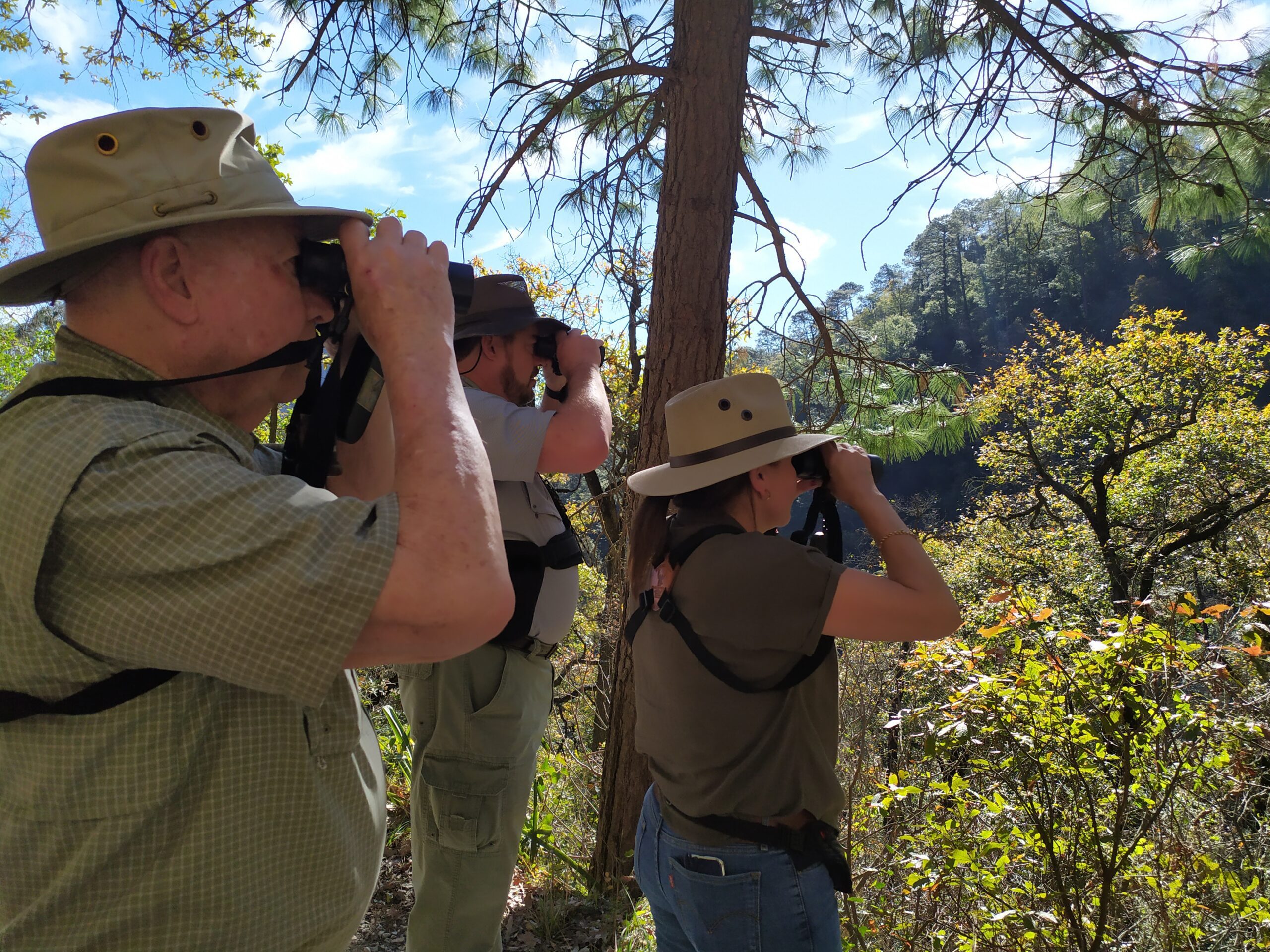 BirdingenMonterrey004
