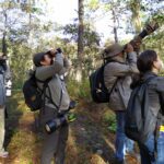 BirdingenMonterrey005