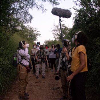 Birding en Monterrey Birding en Monterrey