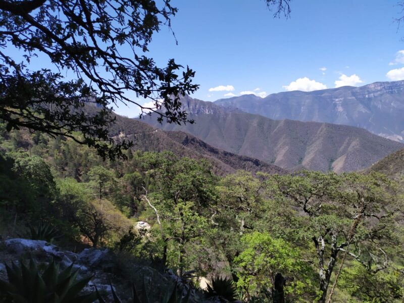 Parque-Nacional-Cumbres-de-Monterrey