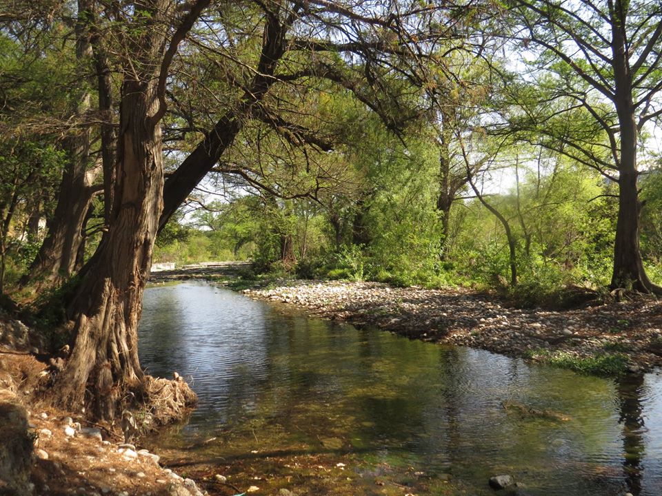 Rio la Silla Birdwatching Tours in Monterrey & Northeastern Mexico