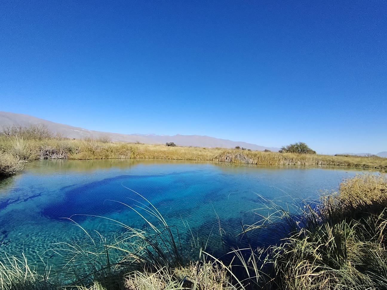 00 Cuatro Cienegas