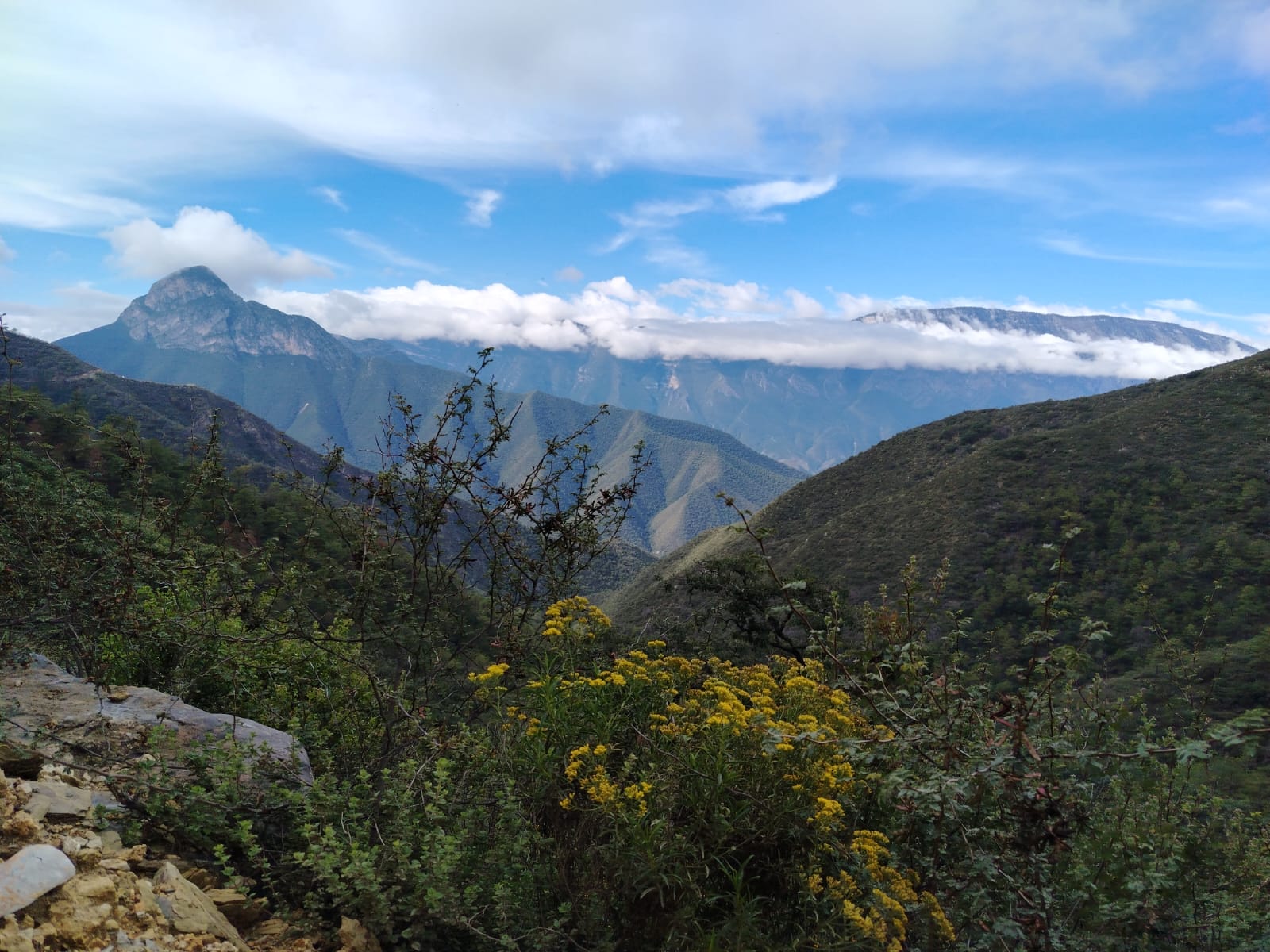 Paisaje PNCM